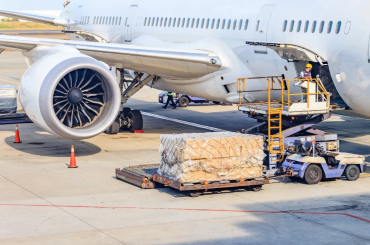 nordicpetogistics