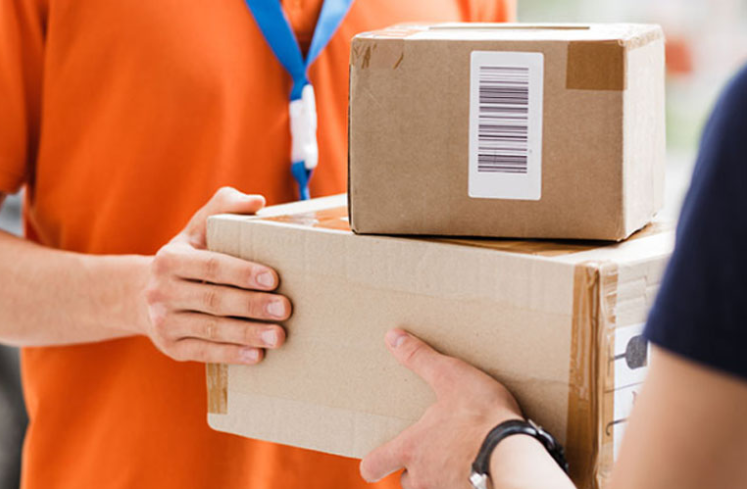 nordicpet9 nordicpetogistics